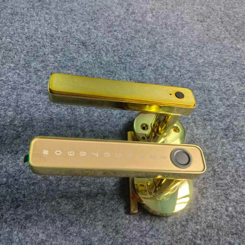 393462647-1